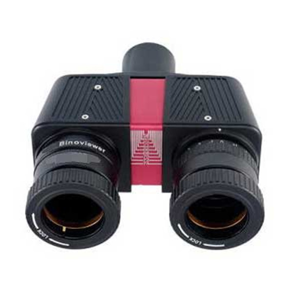 TS Optics Binocular head 1.25" bino-viewers