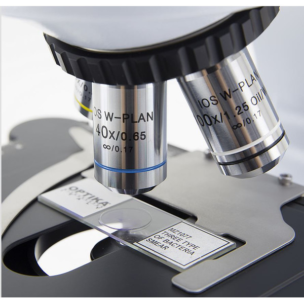 Optika Microscope B-510-5, discussion, trino, 5-head, IOS W-PLAN, 40x-1000x, EU