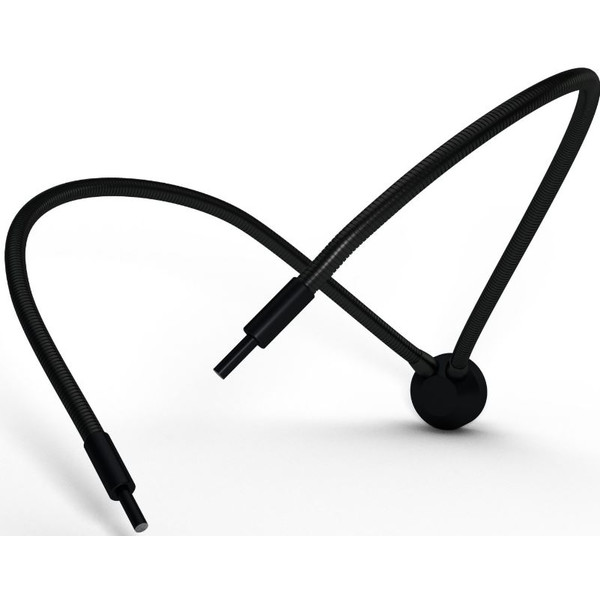 StarLight Opto-Electronics GLS2-800-4.5, 2 arms, arm length 800 mm, active diameter 4.5 mm
