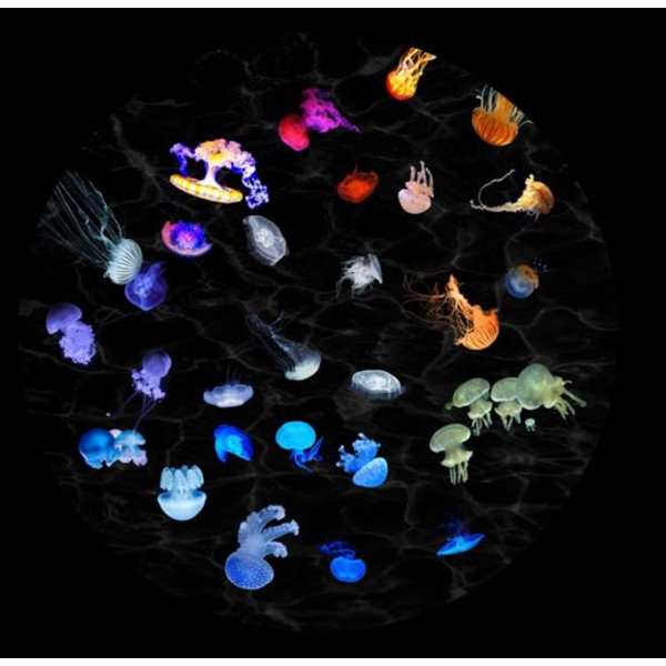 astrial Slide for the Sega Homestar Planetarium Jellyfish