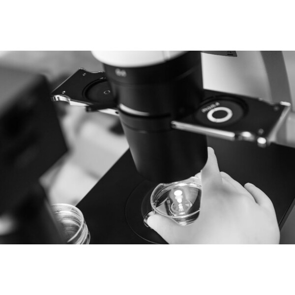 ZEISS Inverted microscope Primovert trino PH1, 40x-400x