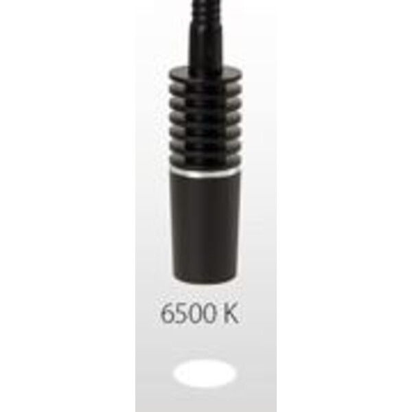 Euromex lighting station LE.5260, white light conductor, 6500K for NZ.9018, LE5207, LE.5212