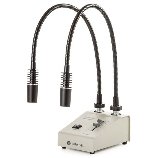Euromex LE.5207 light source, with 2 Gooseneck Light conductors 2x3W, 6500K