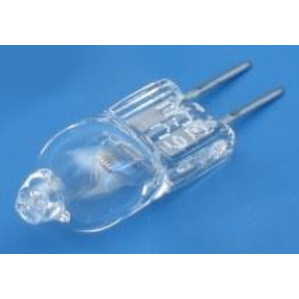 ZEISS 6V 30W halogen lamp (Primo)