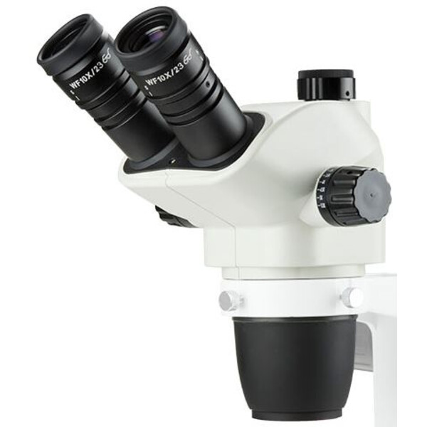 Euromex head NZ.5313, NexiusZoom EVO, trino, 6.5-55x