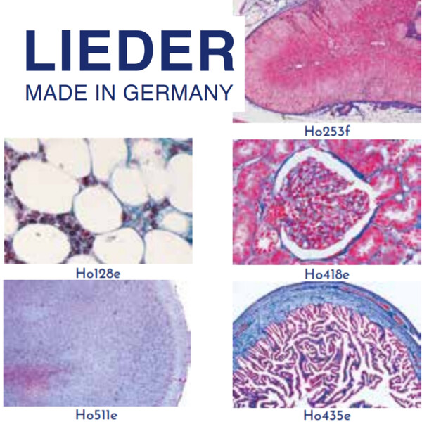 LIEDER Normal Human Histology, Large Special Series, 100 Preparations (staining mostly haematoxylin-eosin)