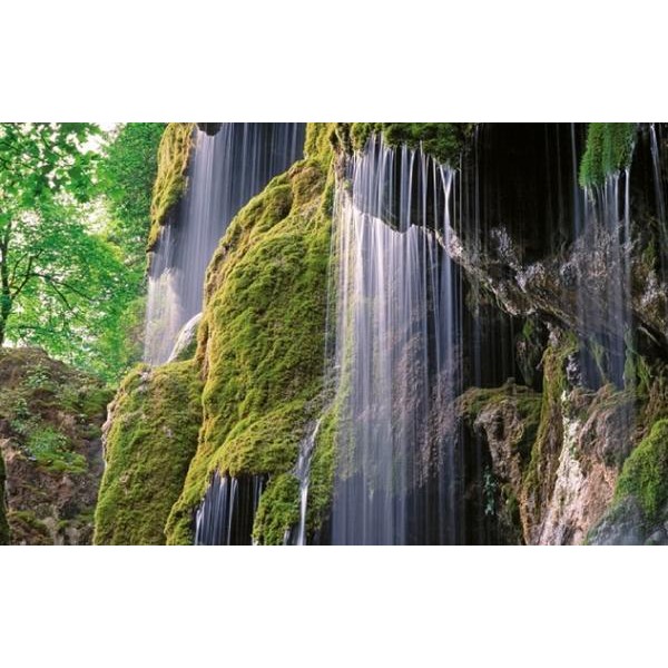 Palazzi Verlag Kalender Naturland - Deutschland 2008
