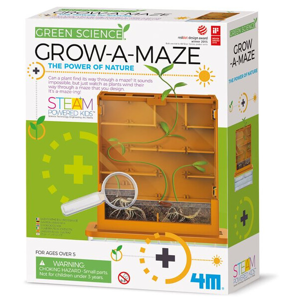 HCM Kinzel Growing Maze