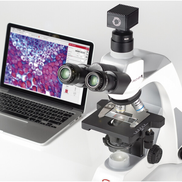 Motic Microscope Panthera E2, Trinocular, HF, Infinity, plan achromat, 40x-1000x, fixed Koehl.LED