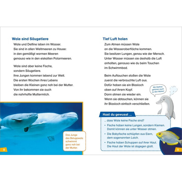 Tessloff-Verlag WAS IST WAS First reading: whales and dolphins