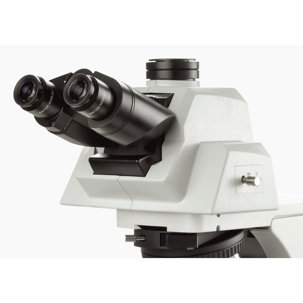 Euromex Microscope Delphi-X, DX.2158-APLi, trino, 40x - 1000x, Plan apochromatic, with ergonomic head and 100W Halogen Lighting