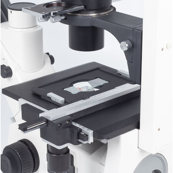 Motic Inverted microscope AE31E trino, infinity, 40x-400x, phase, Hal, 30W