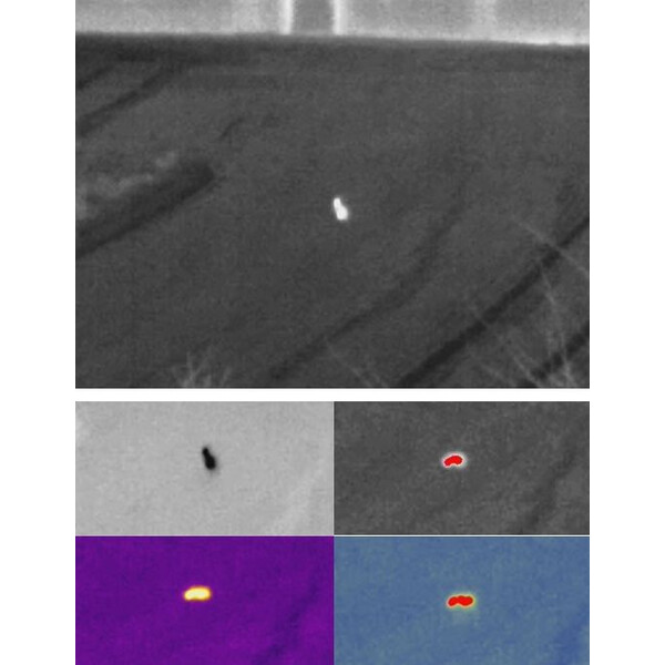 Guide Thermal imaging camera Wärmebildgerät Track IR19 Pro