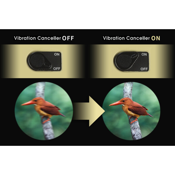 Vixen Image stabilized binoculars H12x30 Atera