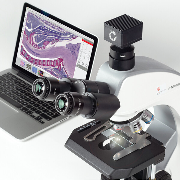 Motic Microscope Panthera C2, Trinokular (Ohne 100X), infinity, plan, achro, 40x-400x, Halogen/LED