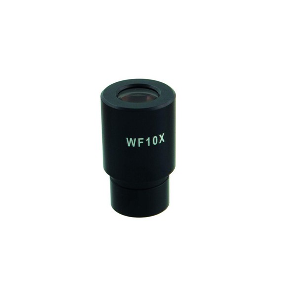 Windaus Wide field WF 10x eyepiece with micrometer, for HPM 300