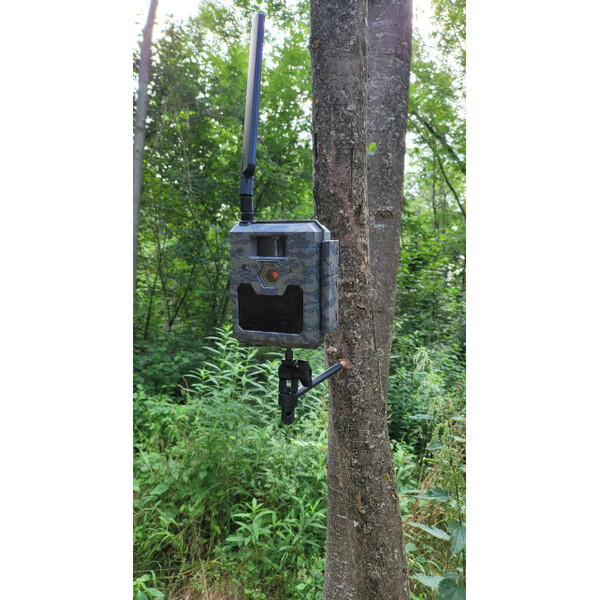 ICU tree screw with ball head