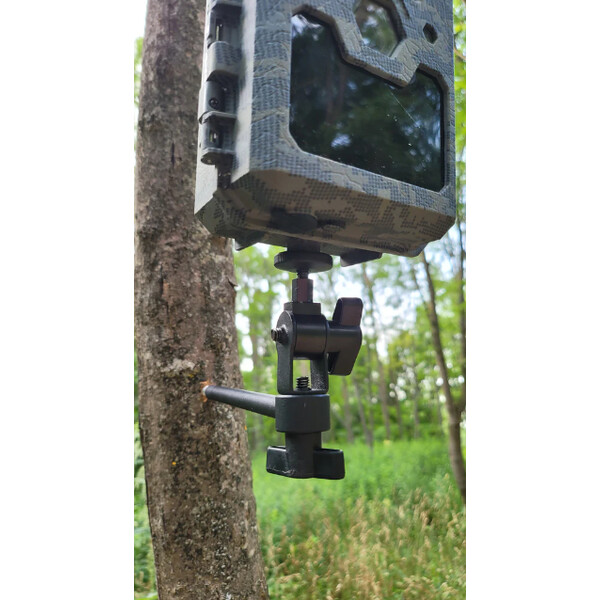 ICU tree screw with ball head