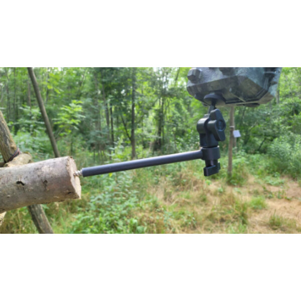 ICU tree screw with ball head