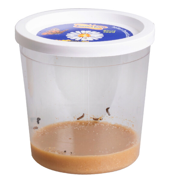 HCM Kinzel Pre-Paid-Butterfly Garden