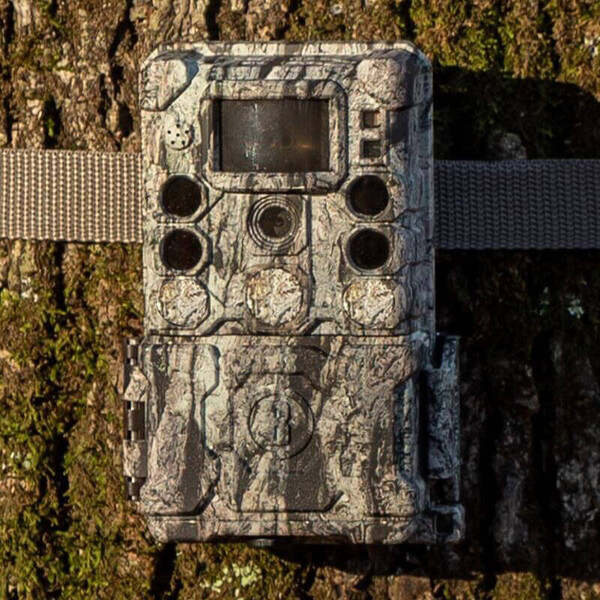 Bushnell Wildlife camera 30MP CORE 4KS Tree Bark Camo No Glow, Box 5L