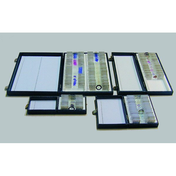 Windaus Storage box, standard model, for 25 prepared slides