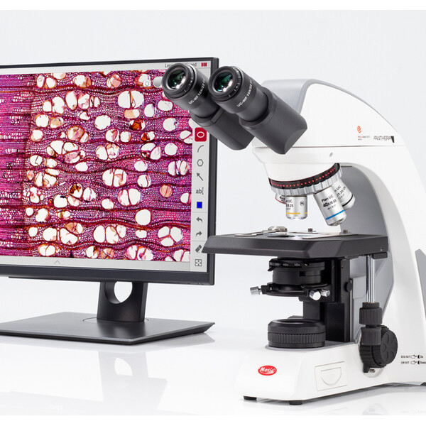 Motic Microscope Mikroskop Panthera cloud, bino, digital, infinity, plan, achro, 40x-1000x, 10x/22mm, Halogen/LED, HDMI, 8MP