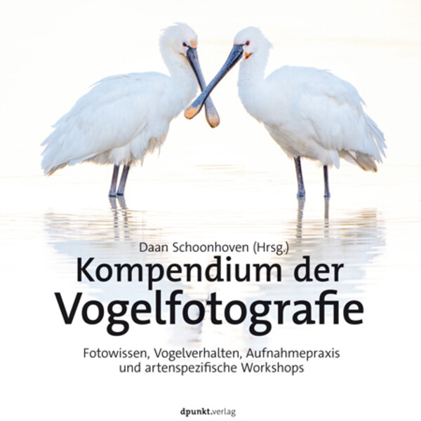 dpunkt A compendium of bird photography