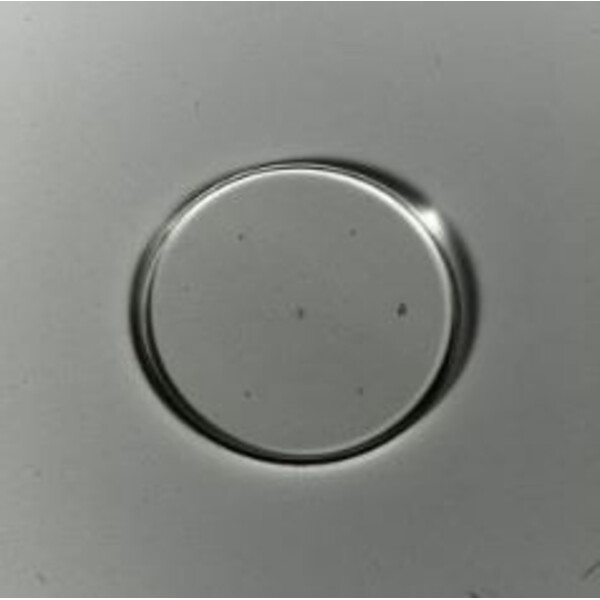 ZEISS Micrometer scale plate MC 2.5x/d=26 mm format graticule