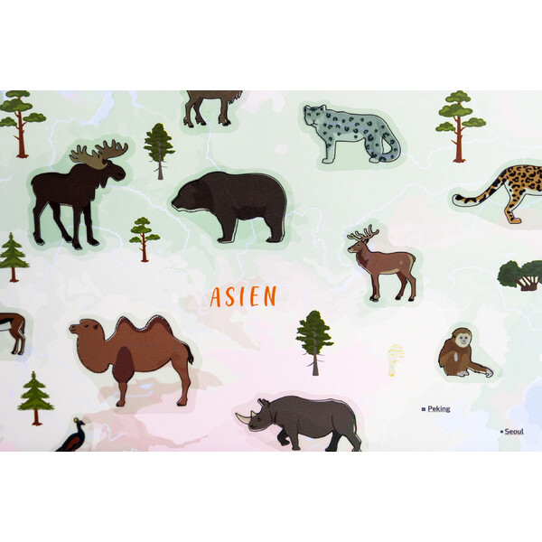 GeoMetro Childrens map Die Welt der Tiere (84 x 60 cm)