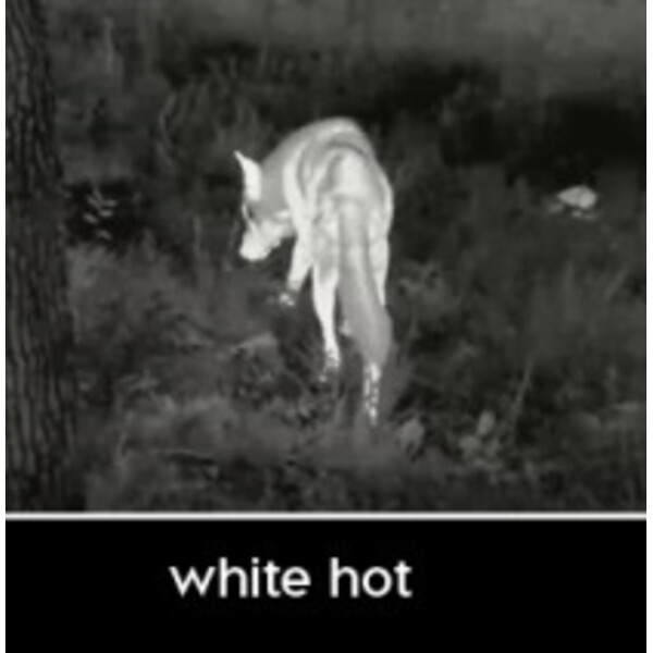 InfiRay Thermal imaging camera Unique UH50