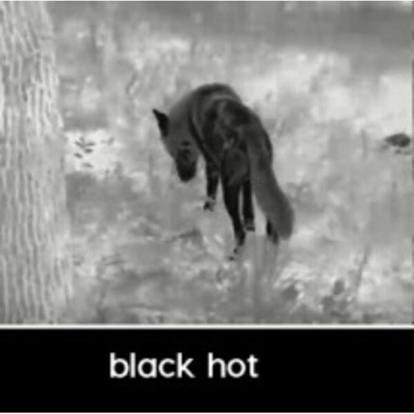 InfiRay Thermal imaging camera Unique UH50