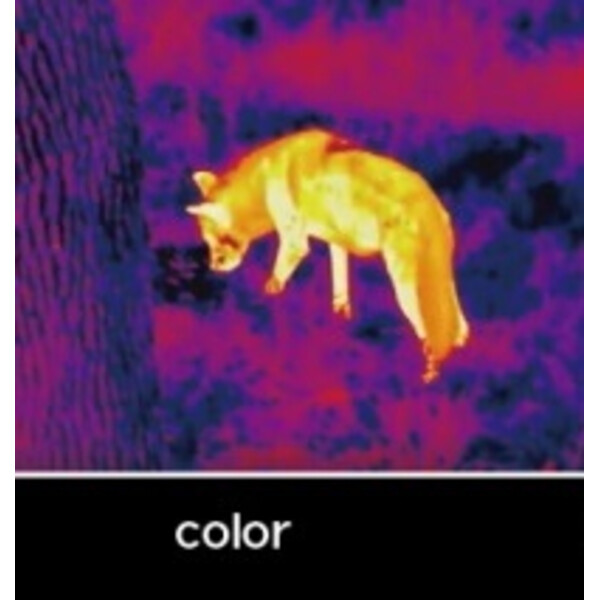 InfiRay Thermal imaging camera Unique UH50