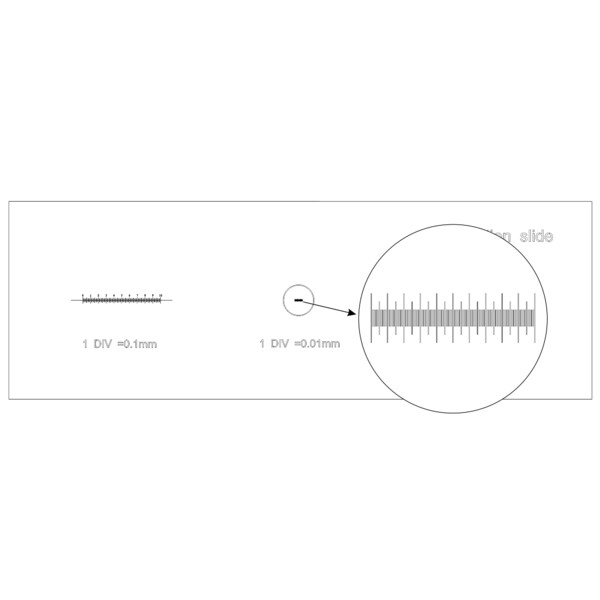 MAGUS Calibration slide CS3