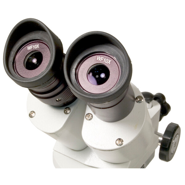 Levenhuk Stereo microscope 3ST 20-40x Halogen