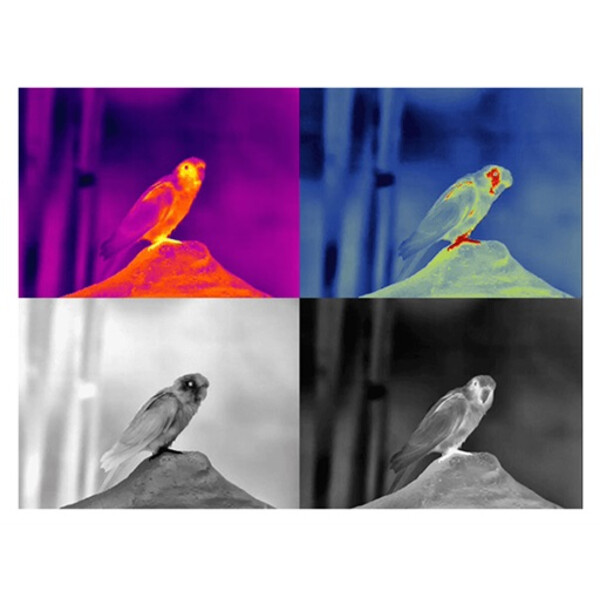 Guide Thermal imaging camera TN430