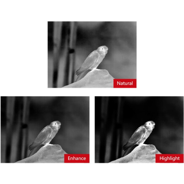 Guide Thermal imaging camera TN430