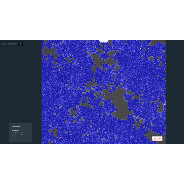 ZEISS software Labscope AI Cell Confluency DLic module