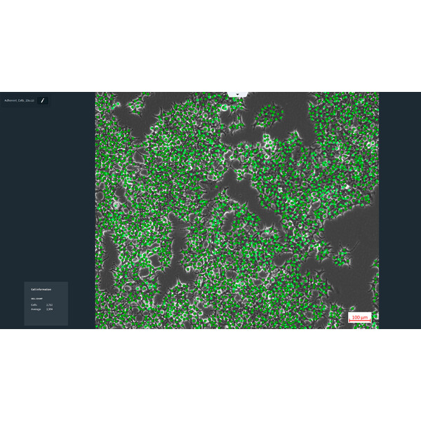 ZEISS software Labscope AI Cell Counting DLic module