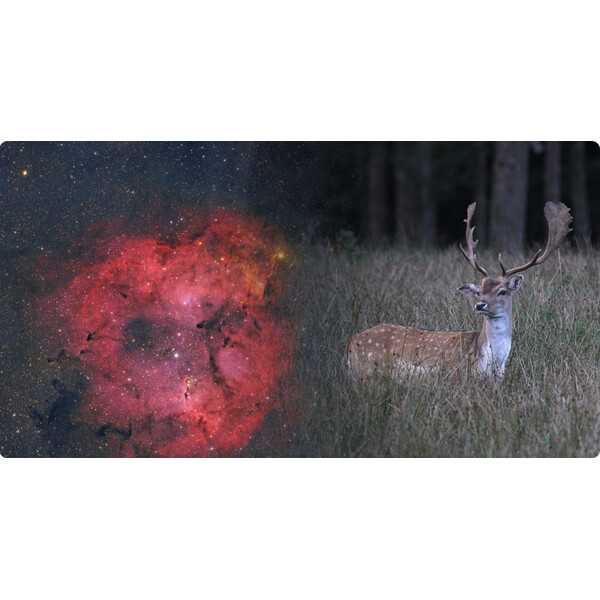 ToupTek Apochromatic refractor HOPE D60 60/280 f/4.66