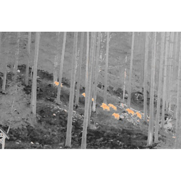 NiteHog Thermal imaging camera Viper 50 NXT