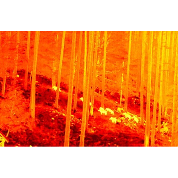 NiteHog Thermal imaging camera Viper 50 NXT