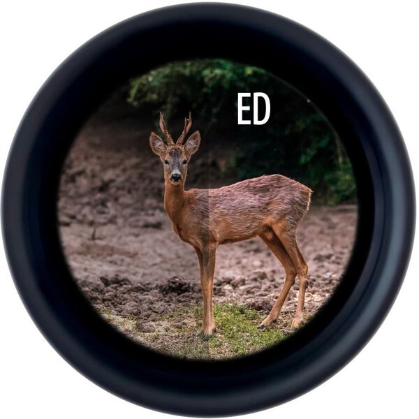 Minox Binoculars X-Tour 10x42