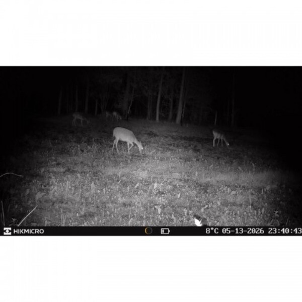 HIKMICRO Wildlife camera T16