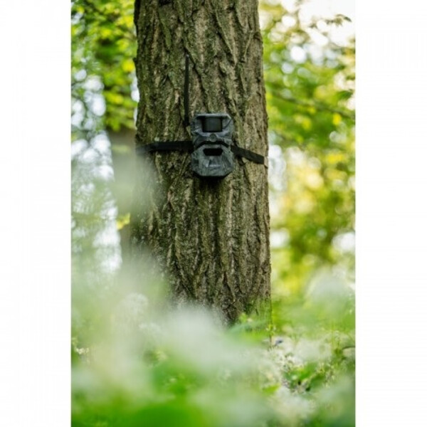 HIKMICRO Wildlife camera T16