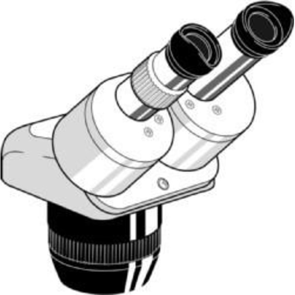 Euromex Stereo zoom microscope Head EE.1523, binocular