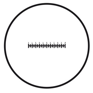 Motic micrometer reticle Reticle scale (10 mm in 100 divisions), (Ø25 mm)