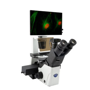 IM-300LD4D Digital Inverted LED fluorescence microscope, 400x, IOS LWD PLAN F, 4 empty filterset slots