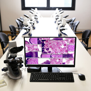 Optika Microscope -WI-LEARN Package 1 Teacher + 12 Student Stations