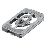Quick release plate